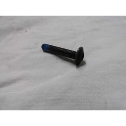 VIS A TETE OVALE AVEC RONDELLE