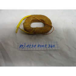 BOBINE DE CHAMP N1 12V100W