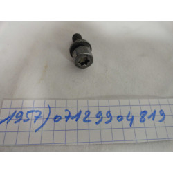 VIS TORX AVEC DISQUE