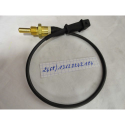 SONDE DE TEMPERATURE DE L EAU