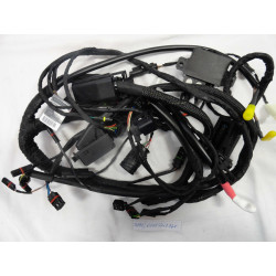 FAISCEAU DE CABLES PRINCIPAL