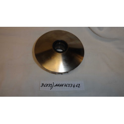 PIGNON D ENTRAINEMENT