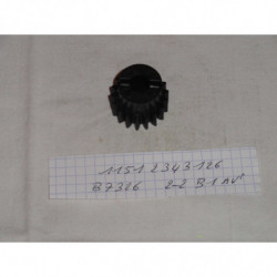 PIGNON D ENTRAINEMENT