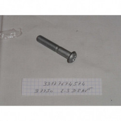 VIS ISA M10X55 10-9ZNS3