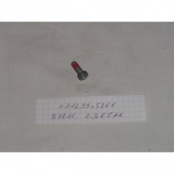 VIS TORX A TETE NOYEE...