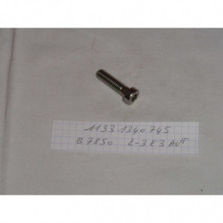 VIS TORX M8X30