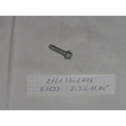 VIS TORX M6X25-8-8