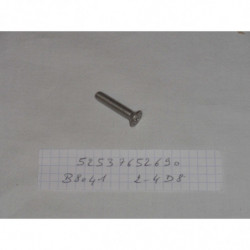 VIS TORX A TETE NOYEE 6X30