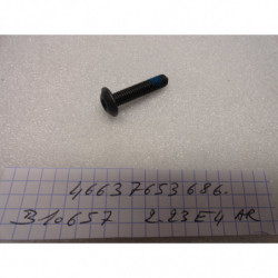 VIS A TETE OVALE M6X30MK