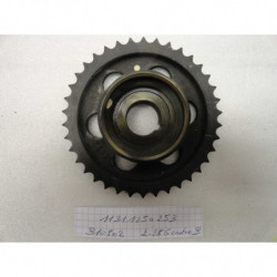 ROUE SUR ARBRE A CAMES