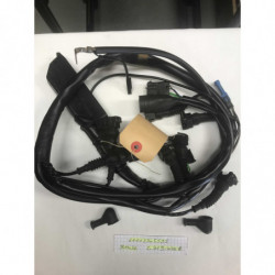 FAISCEAU DE CABLES DU MOTEUR